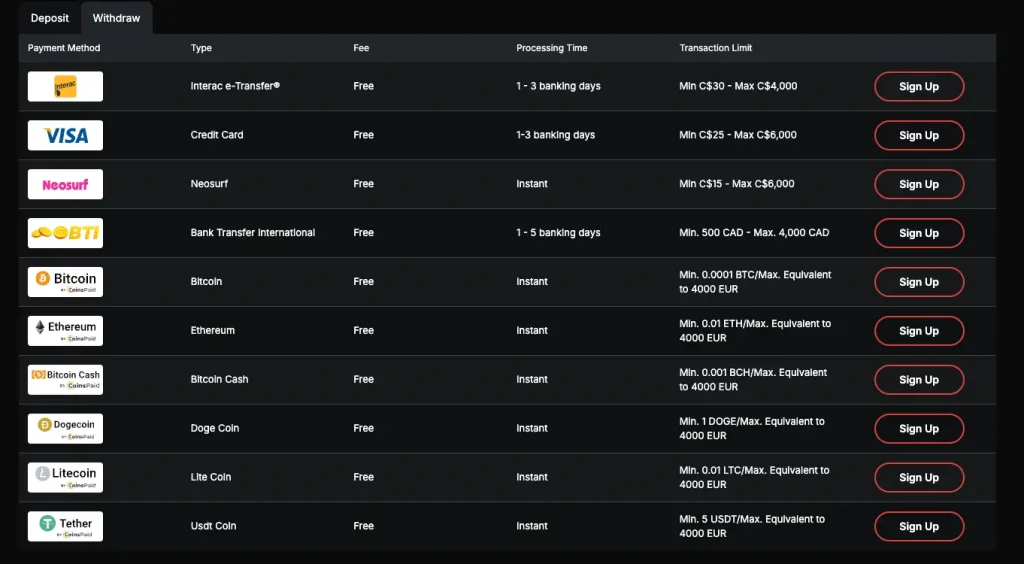 CasinoChan Payment Methods